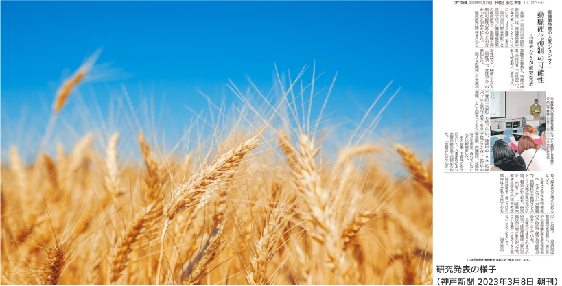 大麦の健康効果を公募実験で検証